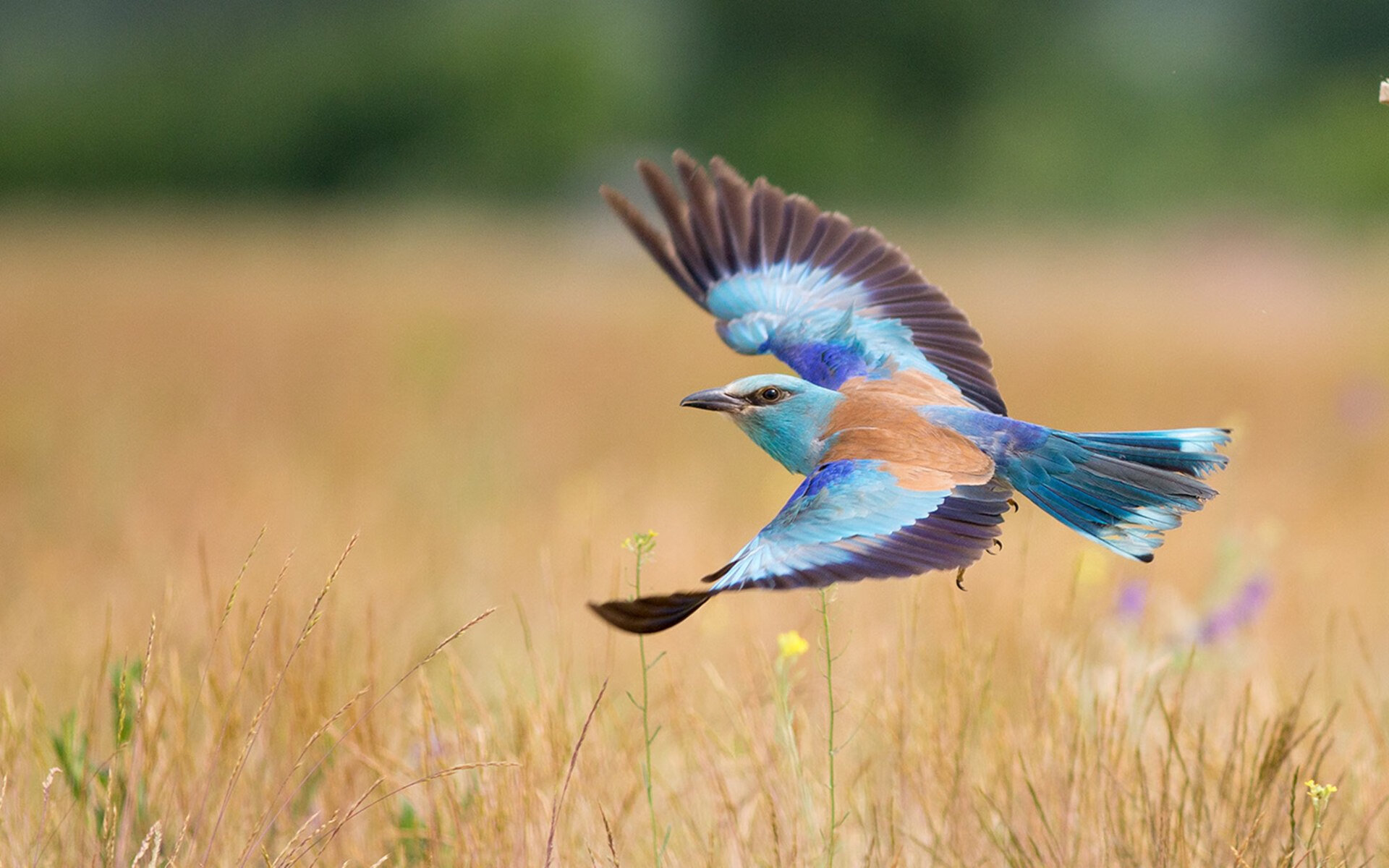 开云体育开云-“生死一线：救援现场的惊魂瞬间”，命悬一线的生死救援