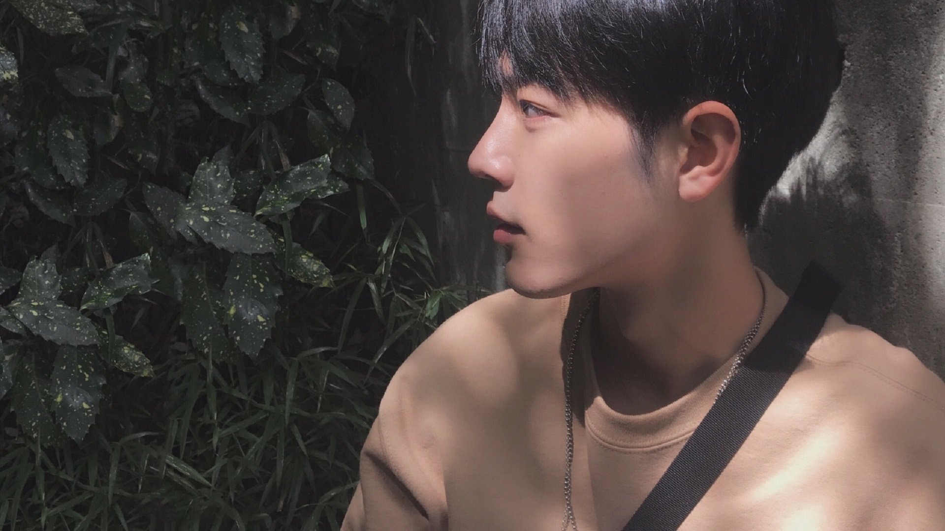 开云体育网页版入口-“青少年足球培养体系逐步完善，国家未来之星不断涌现”，青少年足球培养意义