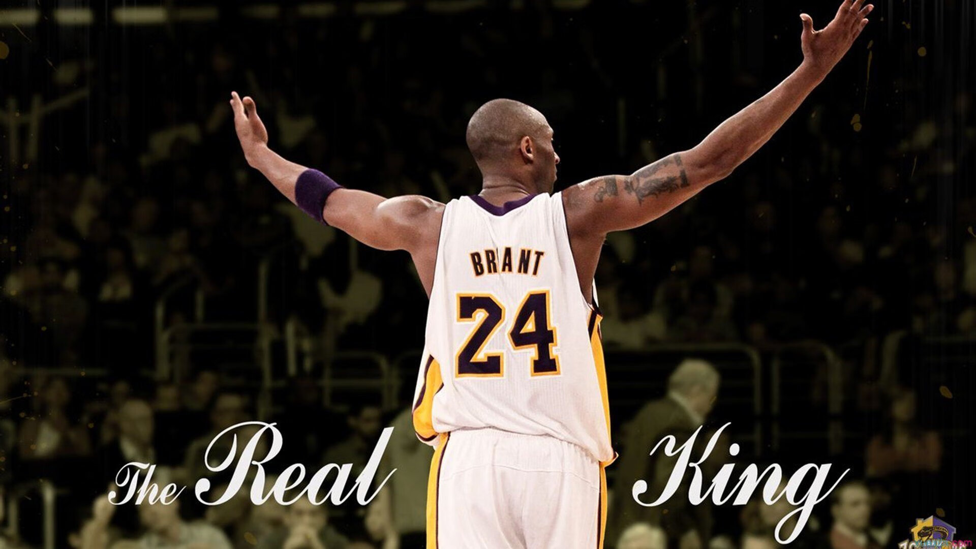 开云kaiyun-世界杯赛场技术革新的未来趋势，世界杯创新